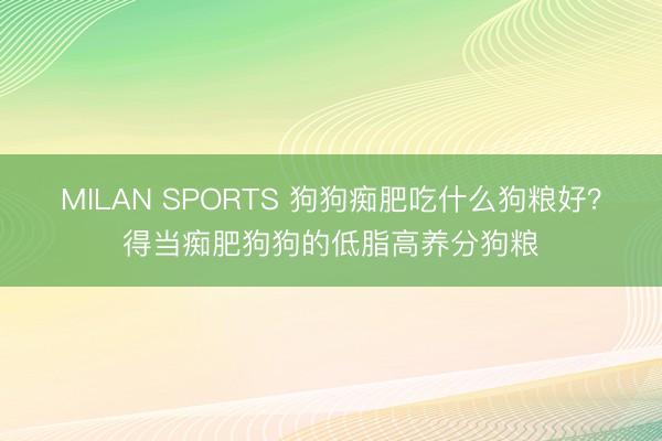 MILAN SPORTS 狗狗痴肥吃什么狗粮好?得当痴肥狗狗的低脂高养分狗粮